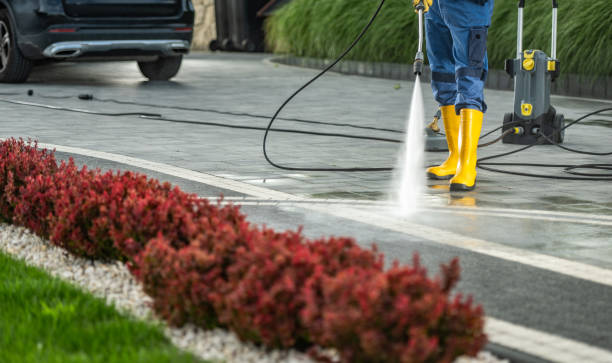 Best Graffiti Removal  in New Providence, NJ