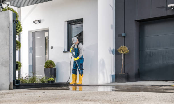Best Paint Preparation  in New Providence, NJ
